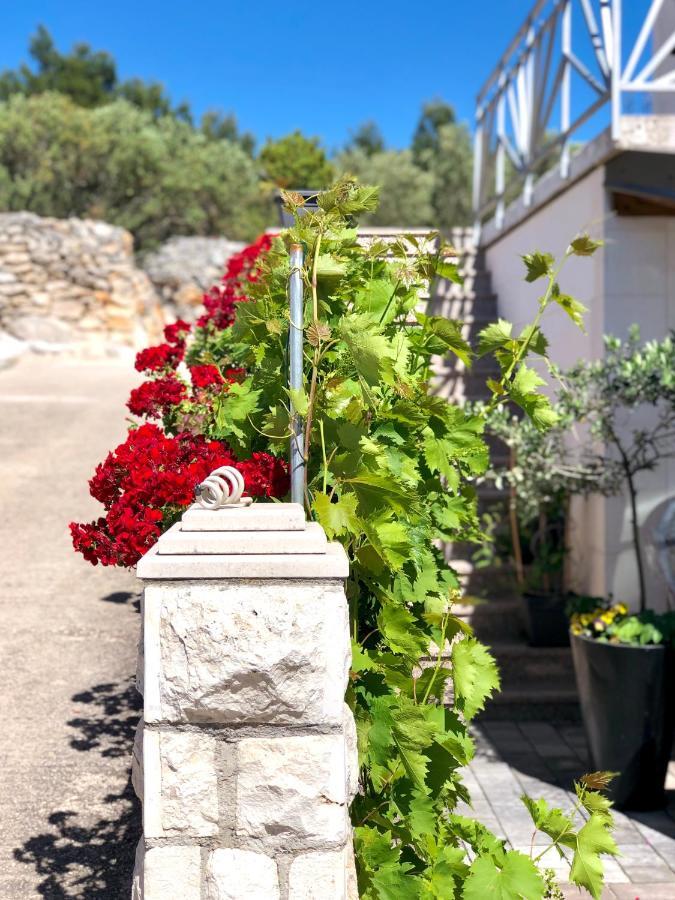 Coco Hvar Town